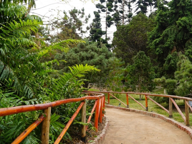 zoo located in the district of San Miguel, in the city of Lima, capital of Peru.